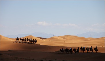 Global Operations - Middle East